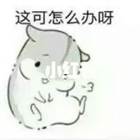 poker card shop Xiaoyu dengan hati-hati menyerahkan anak kucing dalam pelukannya kepada Luo Meisheng